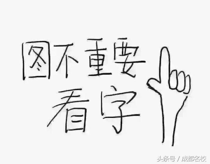 高新最好的小学有哪些,高新区小学最好的是哪个学校