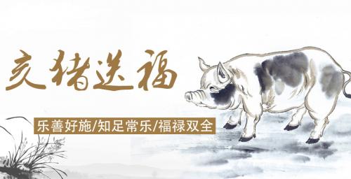 属猪人在鸡年的运气如何,鸡年属猪的运势及运程