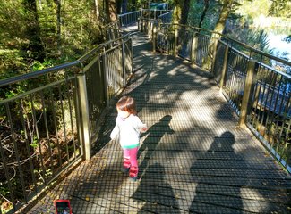 《小丫头的奇异之旅》第11章，第十天，周三