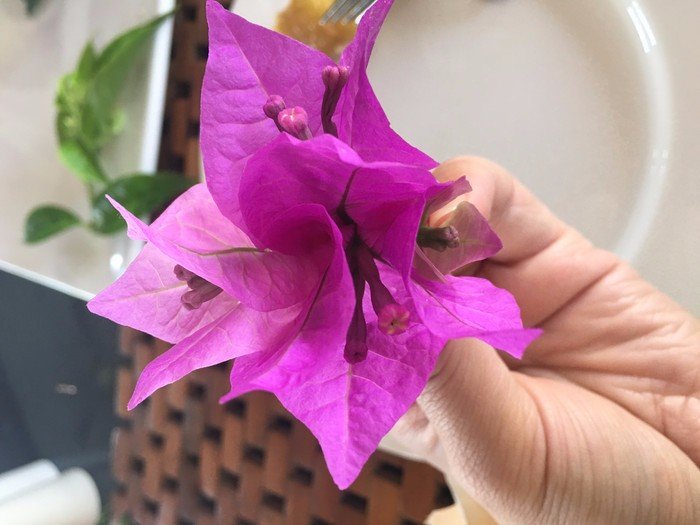 巴厘岛6天5晚跟团游昆明出发,巴厘岛6天5晚跟团游沈阳出发