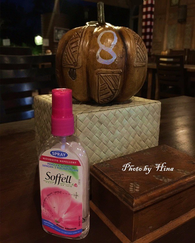 hina和hiro谈了多久,hina和hime住在一起吗