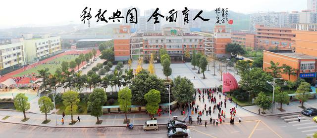 重庆主城小学排名榜,重庆主城区排名前十的小学