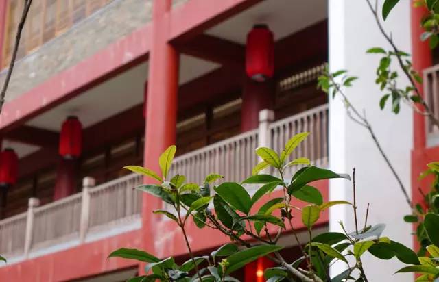 一个长得像李小龙的男人，在长泰一村子里，建了个千与千寻的奇幻世界