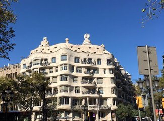 法兰西板鸭,板鸭西班牙语