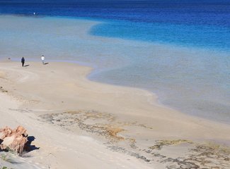 西澳珊瑚海岸3700公里自驾：卡尔巴里-猴子米娅-珊瑚湾-宁加洛珊瑚礁！