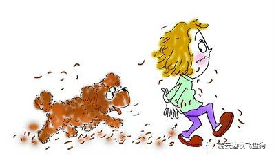 家里狗毛纷飞该怎么办,家里狗毛满天飞怎么办