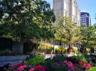 十一20日美西纵横驰骋4200m（黄石-LV-优胜美地-SF-一号公路-SD-LA