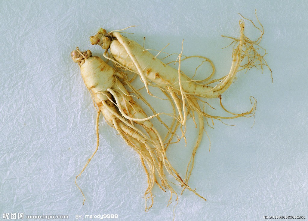 人参的几种吃法大全,人参的吃法用量