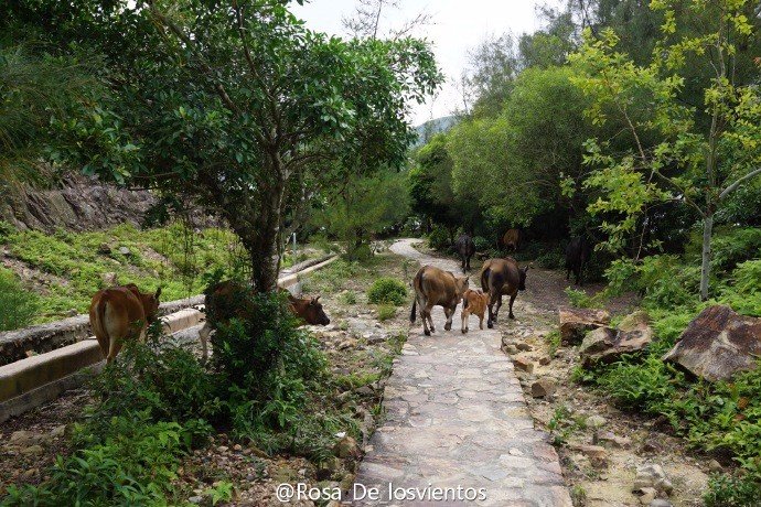 边吃边走的美食推荐,香港5日美食之旅搜罗各种美食