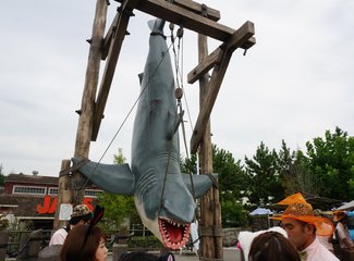 再入关西——现代的大阪，古典的京都