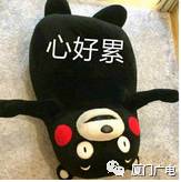 厦门最近哪些共享汽车,厦门现在有共享电动汽车