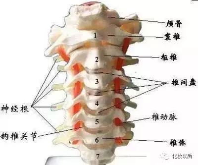 额头上反复长痘中医怎么解决,额头长痘痘粉刺是哪里出问题