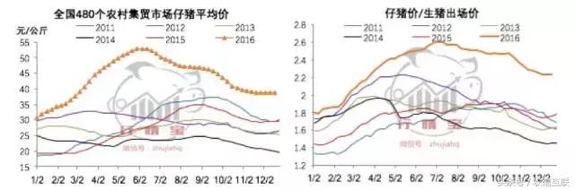 2019下半年猪价还能涨到多少,2019年猪价走势如何