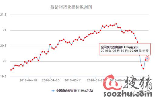 挥别16金猪年迎接17银猪年