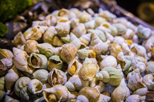 杭州烂苹果乐园亲子游攻略,带孩子去杭州亲子旅游攻略