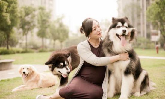 狗狗会引起死胎的征兆,狗狗导致人流产