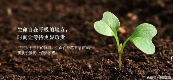 呼吸惊喜水分怎么样,呼吸惊喜水分系列有什么