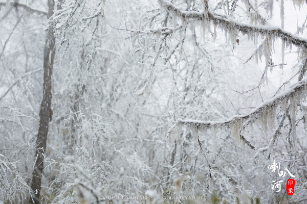 「成都躲霾攻略」喇叭河的圣诞奇缘