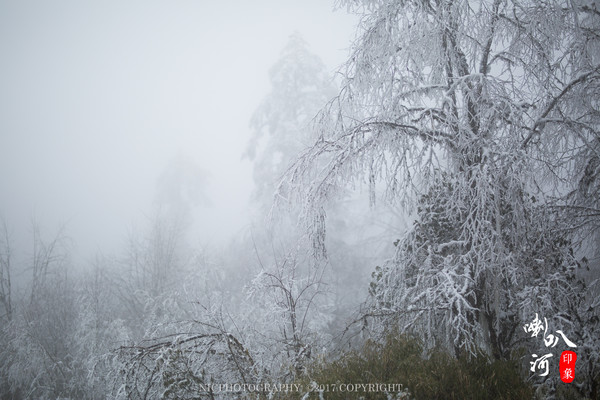 「成都躲霾攻略」喇叭河的圣诞奇缘