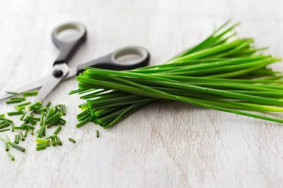 小茴香黑胡椒孜然配方,黑胡椒孜然小茴香