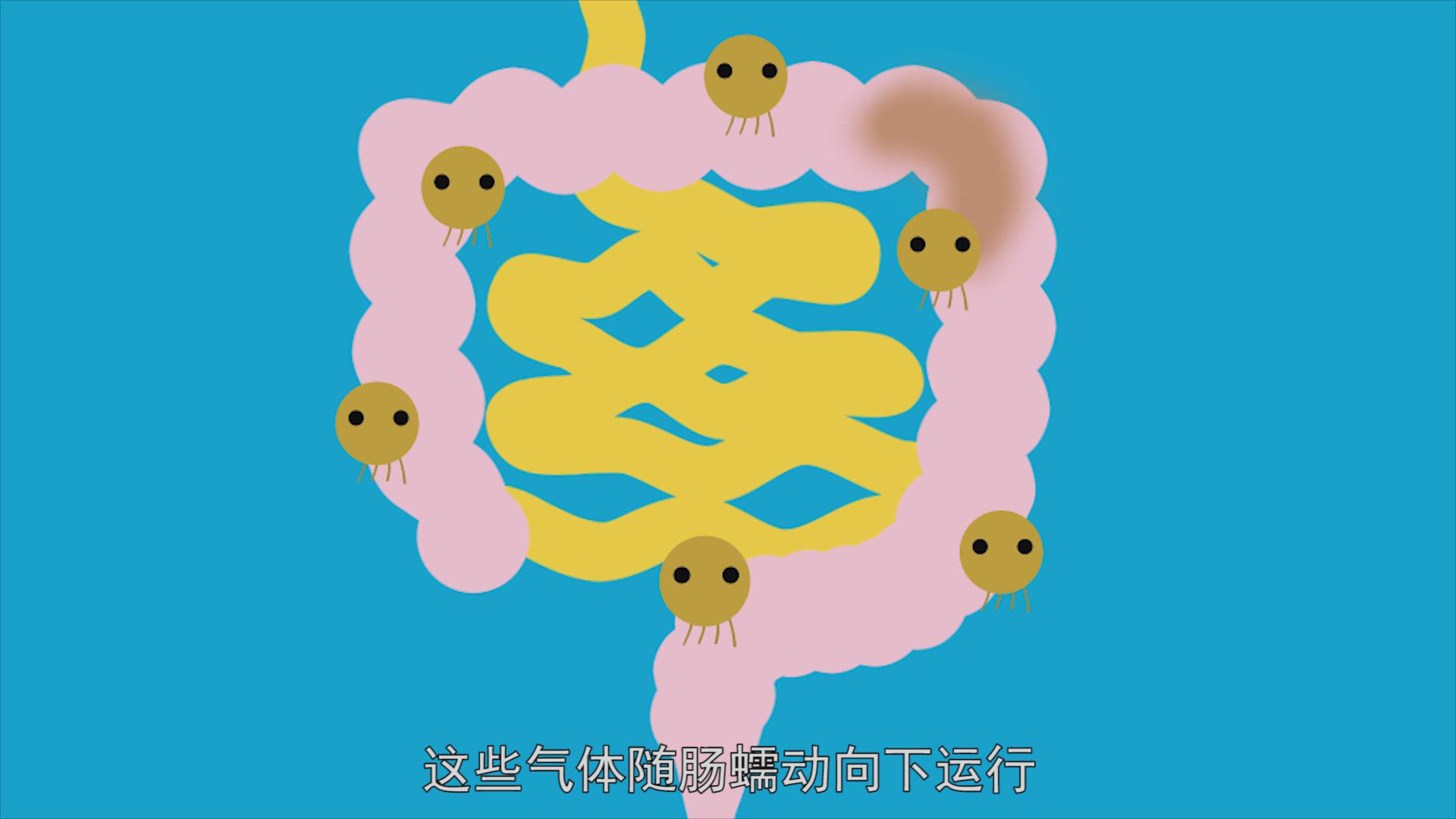 一个有味道的视频,一个有味道的视频是什么梗