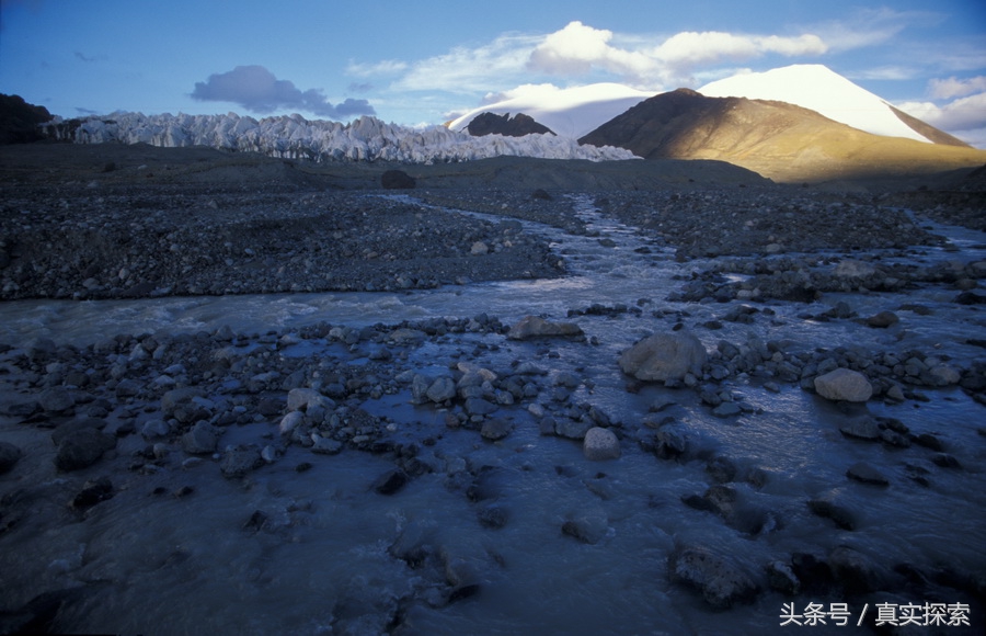 荒野求生秘籍完整版,荒野自救教程