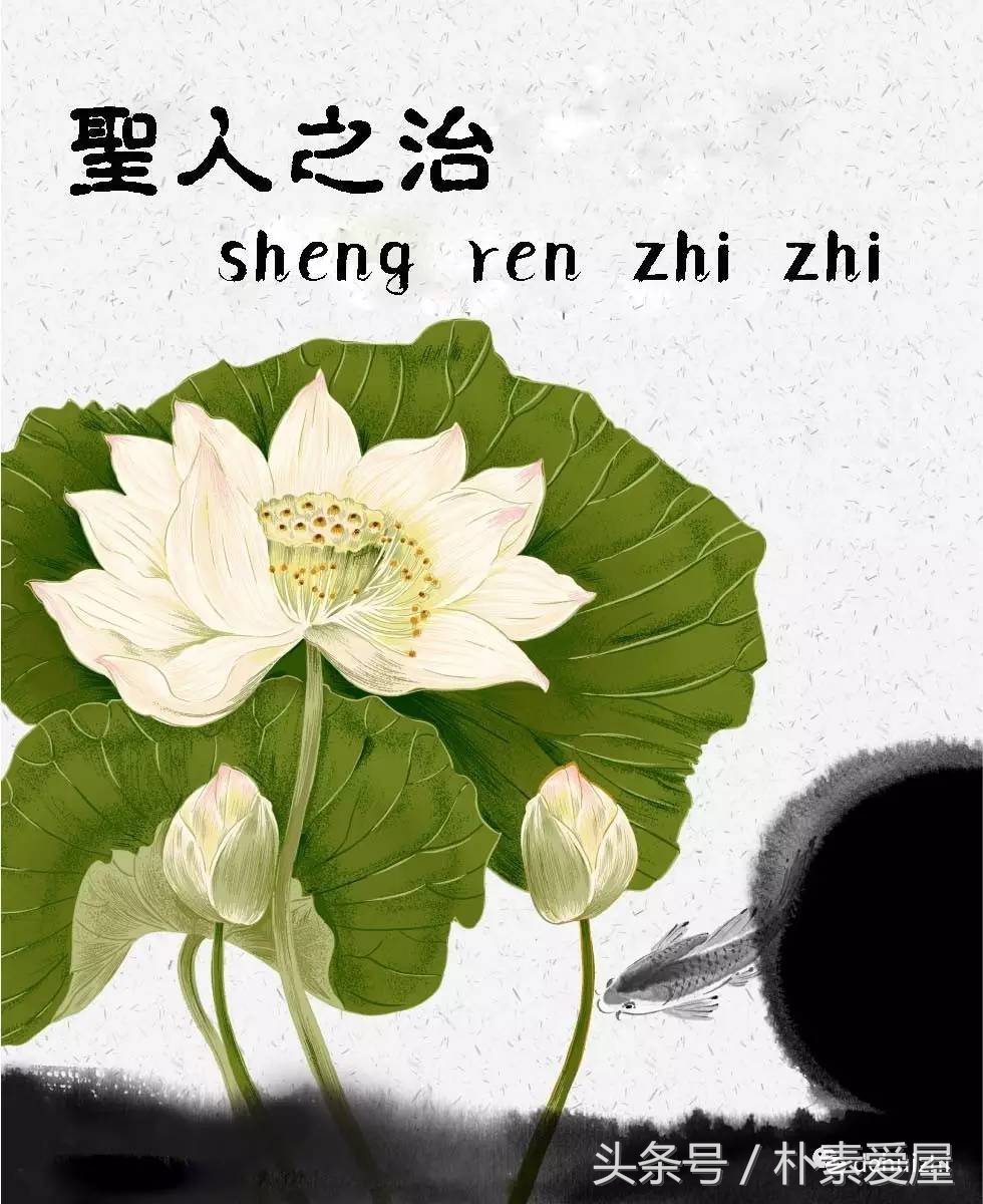 什么是圣人之治,圣人之治