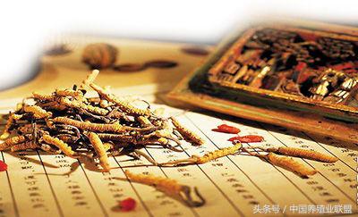 中药养殖应用,中药在畜牧业的发展前景