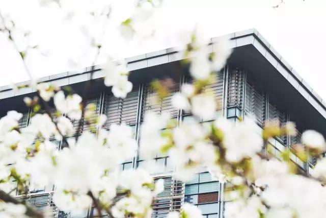 你的名字大学配音,你的名字东北话