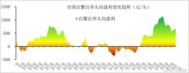 2019下半年猪价还能涨到多少,2019年猪价走势如何