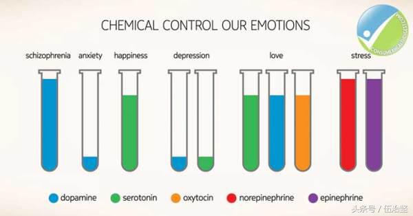 同理心和同情心怎么理解,同理心和同情心的区别和联系