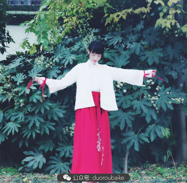 新手种植多肉植物教程,爱生活爱养花花卉绿植养护小知识