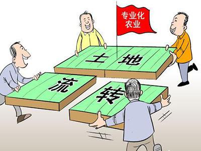 农业种植补贴2023政策趋势,今年农业项目有哪些新政策