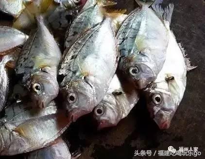 福建十大公认最好吃的菜,福建海鲜美食排行榜前十名