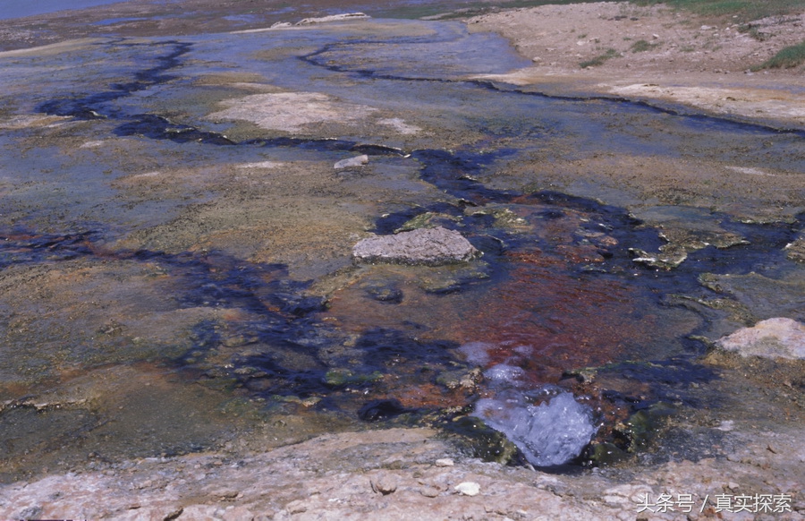 荒野求生秘籍完整版,荒野自救教程