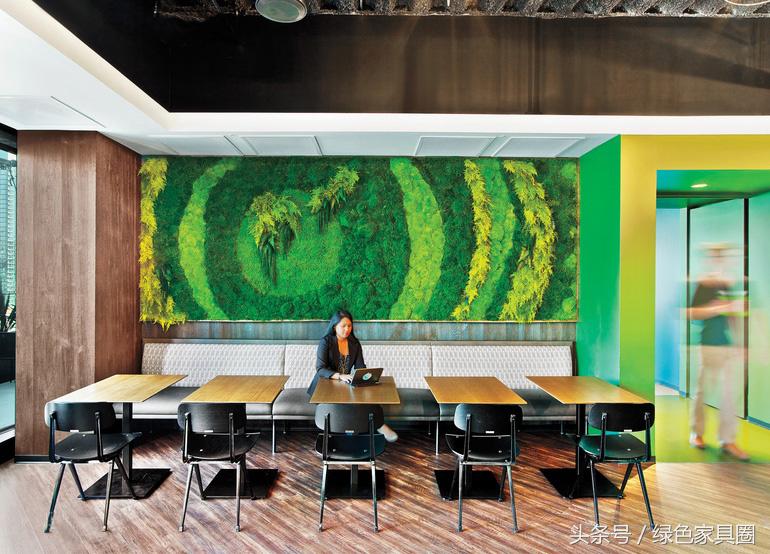 做苔藓壁画,环境图形设计是什么