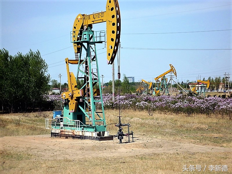 石油为什么叫磕头机,石油磕头机的由来