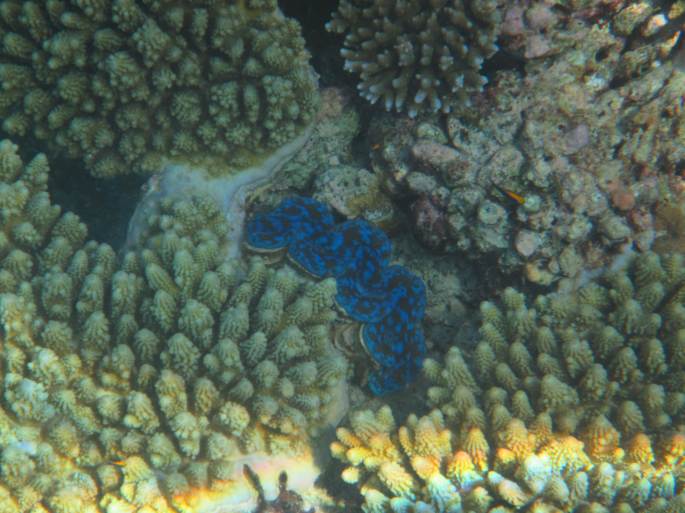 马尔代夫最美景色,最美马尔代夫风景