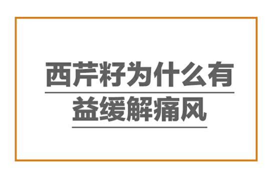 痛风急性发作期服用西芹籽 (年轻的痛风患者能长期吃西芹籽)