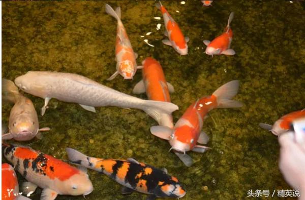 最好的免税店排名,口碑最好的免税店护肤品