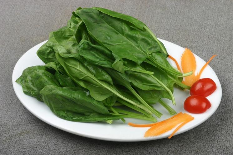 拿什么拯救你发际线？为脱发人群开一扇窗，长出一头浓密发