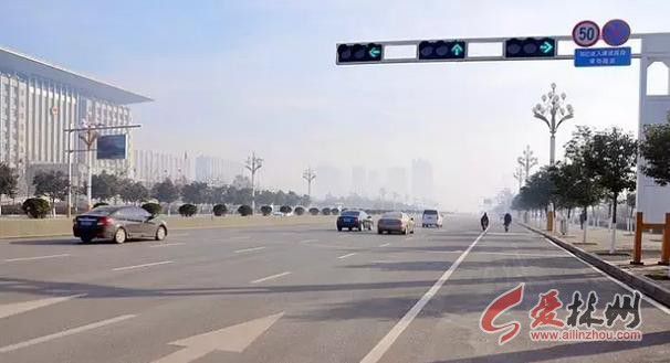 林州私家车保有量,林州汽车销量快报