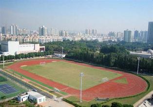 足球疯狂球迷视频,足球疯狂球迷冲场庆祝