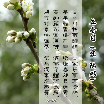 天津今日头条生活视频,天津生活频道视频回放