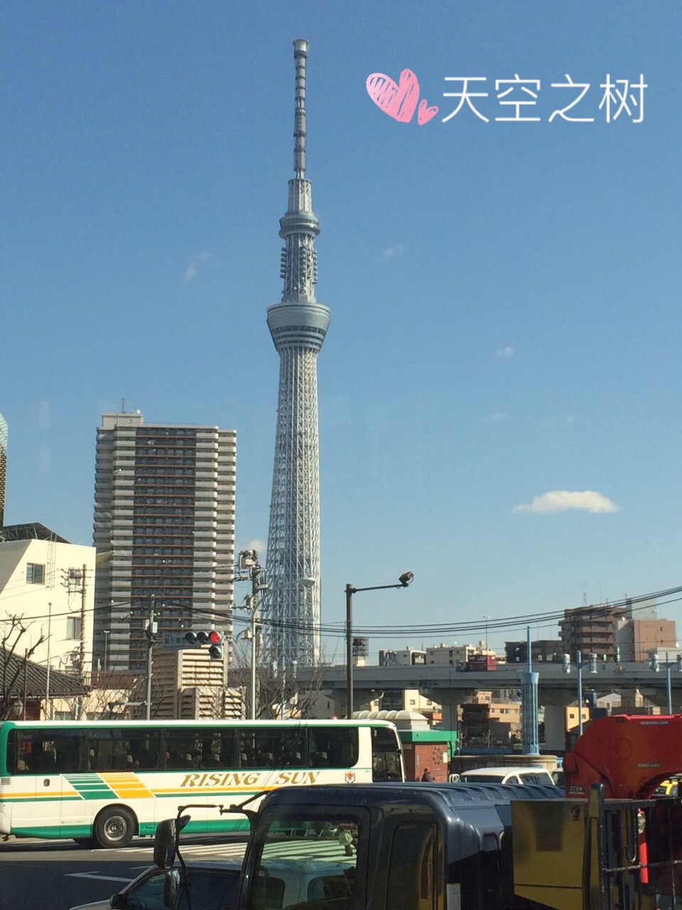 日本旅游马桶,日本旅游购物攻略一览表