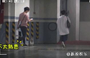 何炅和何老师现状,何炅为什么被叫何老师