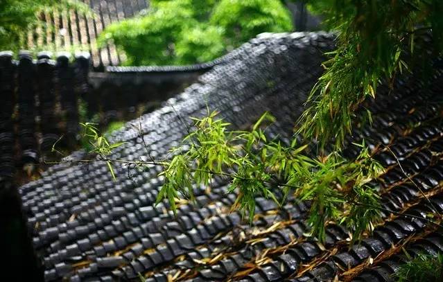 中国十四天旅行攻略 (顺着24节气游遍中国)