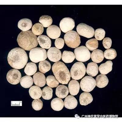 中药的中毒反应时间,吃中药中毒如何处理