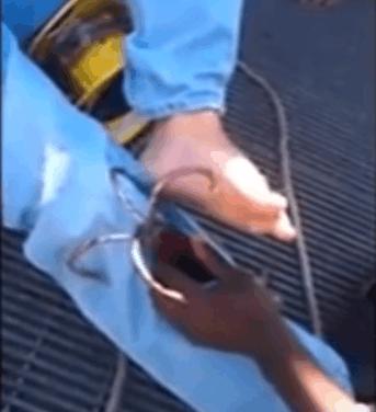 钓鱼时，不小心鱼钩刺进肉里，教你如何不疼的取出来