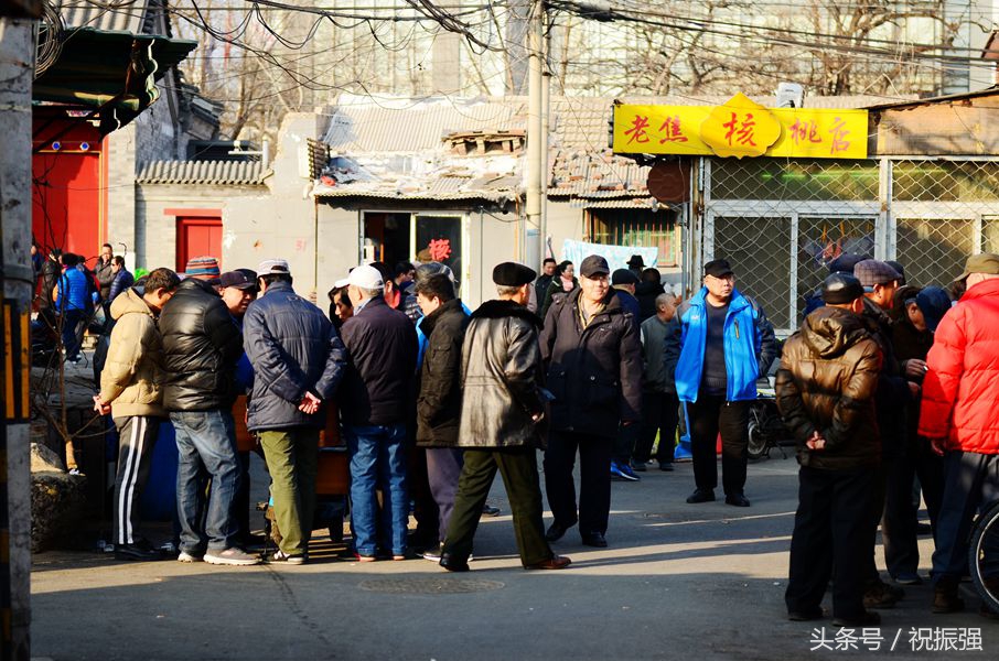 北京十大花鸟鱼虫市场,北京官园花鸟鱼虫市场现在开放吗